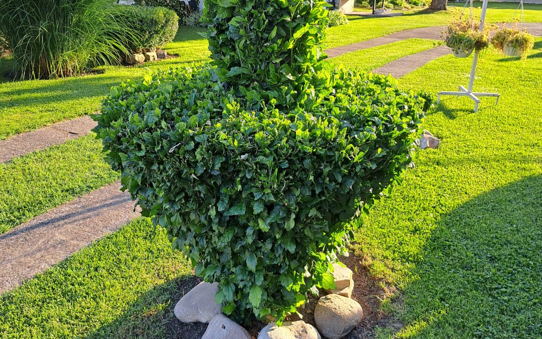 Rezultati Javnog natječaja za najljepše uređenu okućnicu, balkon ili vrtno jezerce na području Općine Garčin u 2023. godini